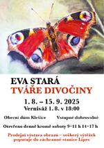 Výstava tváře divočiny