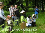 Medobraní u Perníkové chaloupky 2006